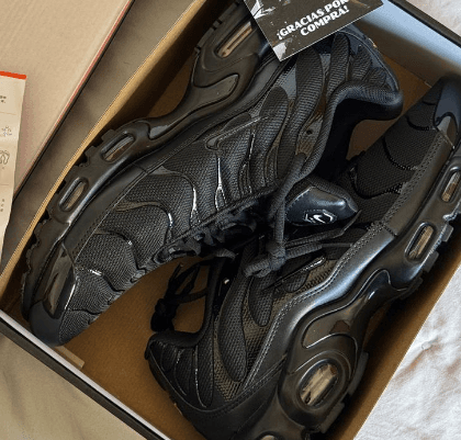 Air Max Plus TN Negro de Nike